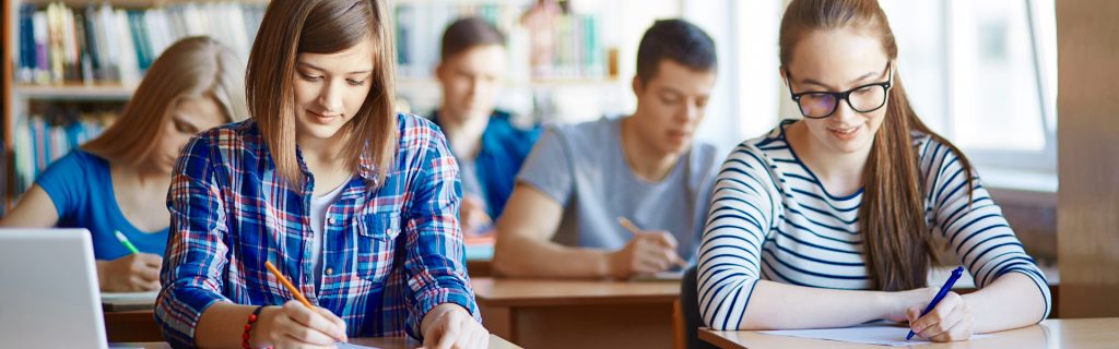 Feriköy özel anadolu lisesi