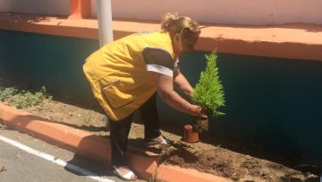 Özel Eşref Aydın Anadolu Lisesi